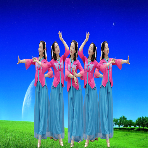 2023杨丽萍广场舞民族风复古唯美舞蹈服《梅华赋》同款舞服8338风