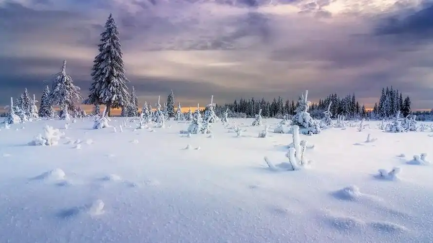 唯美冬季雪景风光桌面壁纸