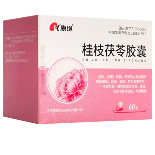 康缘 桂枝茯苓胶囊 0.31g*10粒*6板/盒