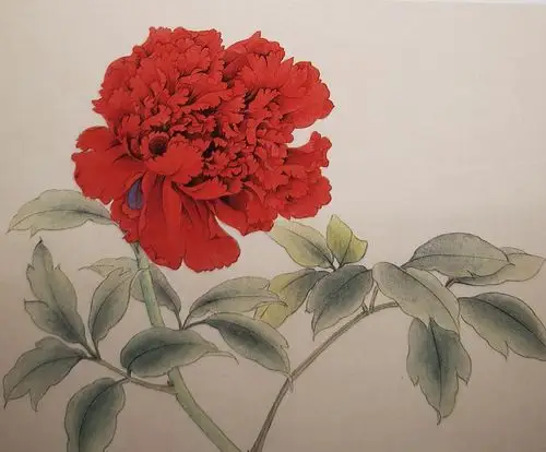 工笔红芍药画法技巧