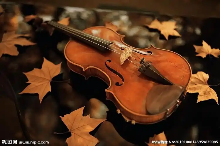小提琴乐器落叶图片