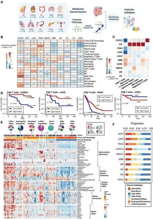 十大癌症蛋白质基因组学精准免疫_癌细胞_wang_治疗