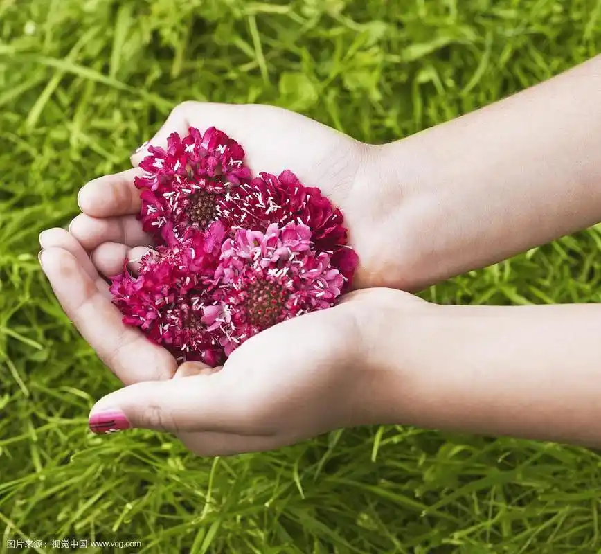 一个年轻女孩捧着野花的手.