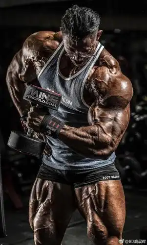 被肌肉巨兽鹿晨辉壁咚?小哥表现很抢眼!网友:过度健身吸引同性