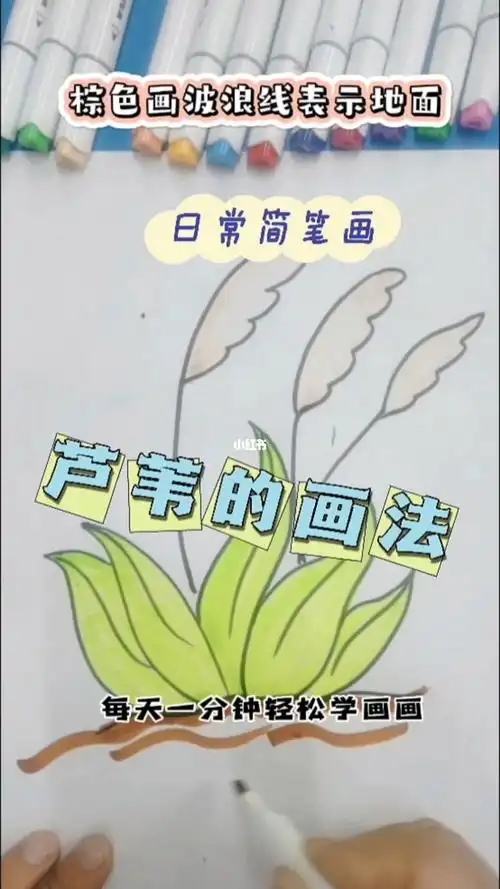 蒲公英的简笔画画法