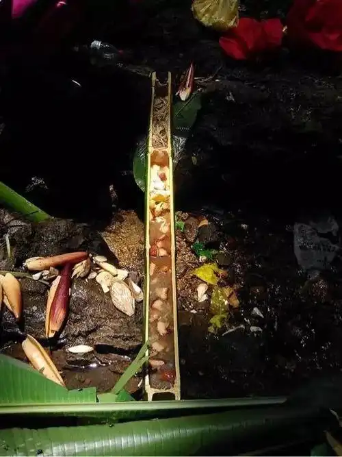 吃芭蕉心的功效与作用,芭蕉心吃了有什么功效(减肥秘籍芭蕉花)