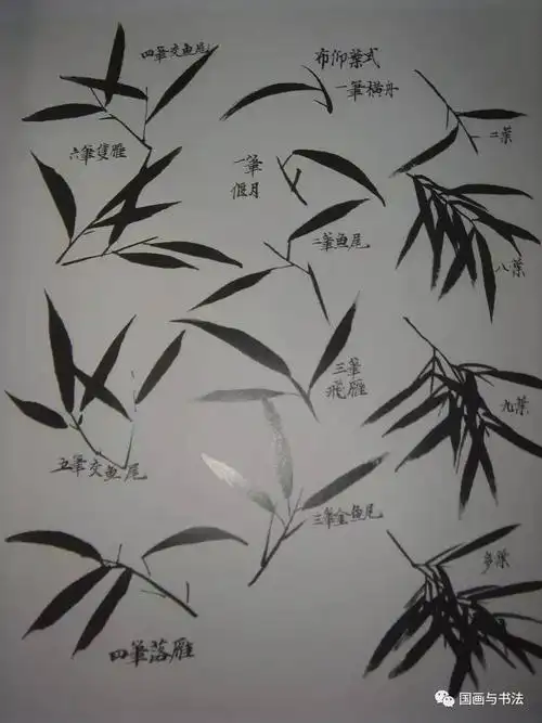 【国画教程】中国画竹子的各种画法