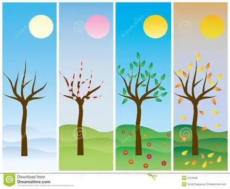 春天夏天秋天冬天简笔画春夏秋冬的树简笔画春夏秋冬怎么画春夏秋冬简