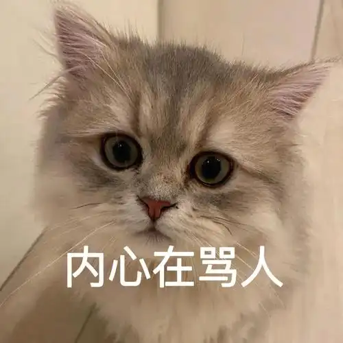 自制表情包我在骂人