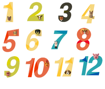 12生肖数字