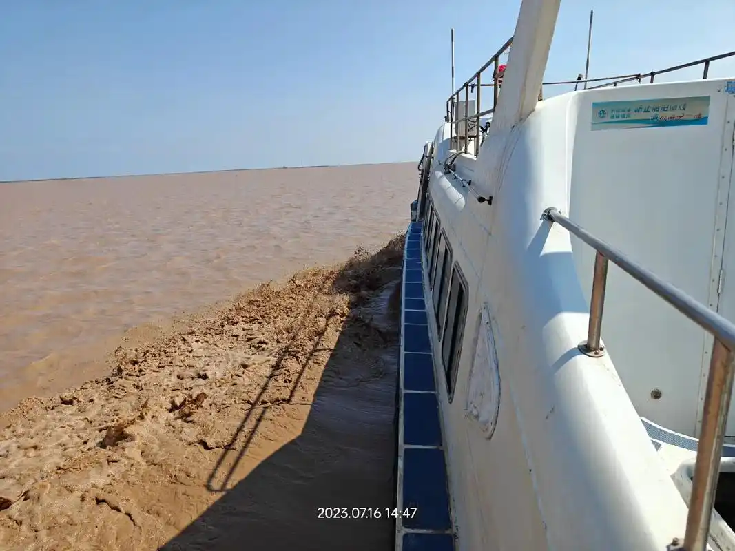 山东  东营  黄河口生态旅游区  沿着黄河遇到海 - 抖音