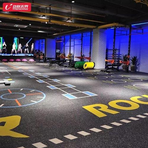 健身房地胶垫私教360定制图案少儿体适能训练防滑pvc塑胶运动地板