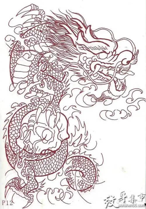过肩龙纹身过肩龙纹身手稿过肩龙纹身手稿图案