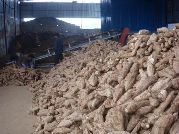 葛根的功效与作用