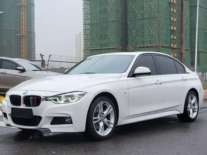 宝马 宝马3系 2018款 320li 领先型m运动套装图片