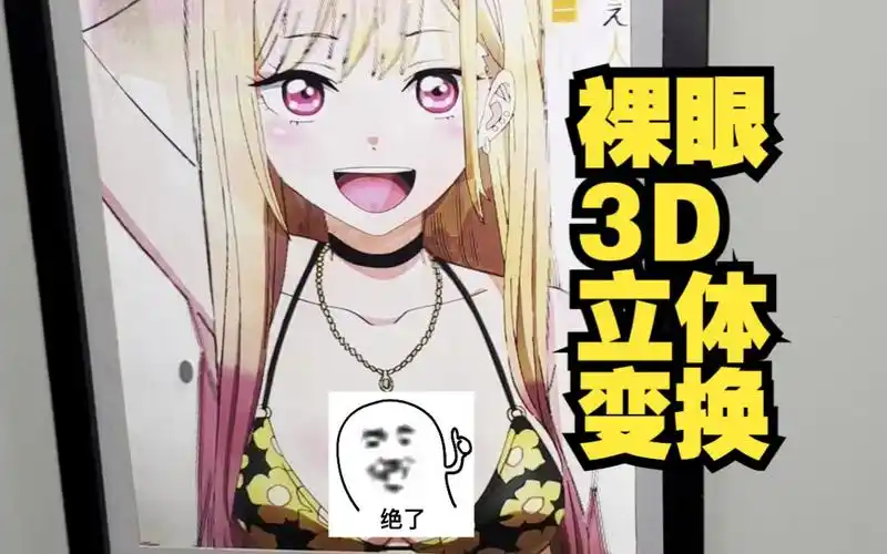 动漫老婆系列裸眼3d立体画!