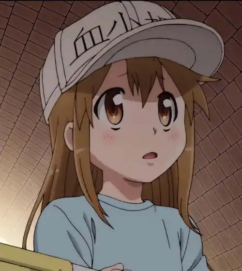 工作细胞 血小板 头像