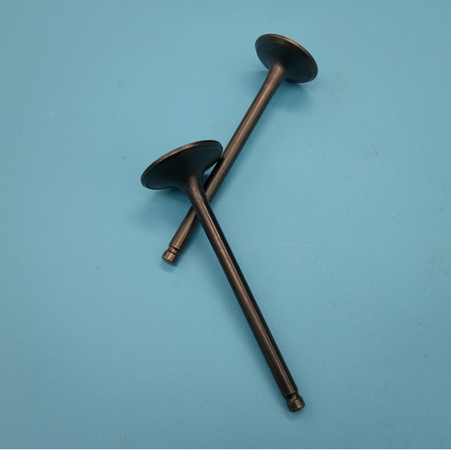 包邮摩托车配件cg125150 200 250气门gy6125jh70 110宗申力帆隆鑫