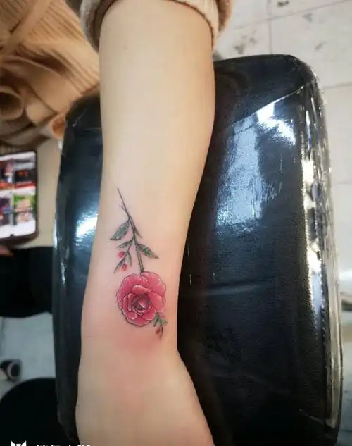 遮盖疤痕纹身图片_手臂欧美写实水彩纹身图案