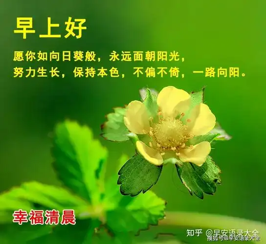 2021年6月5日星期六芒种清晨早上好问候祝福表情图片 周六最新早安