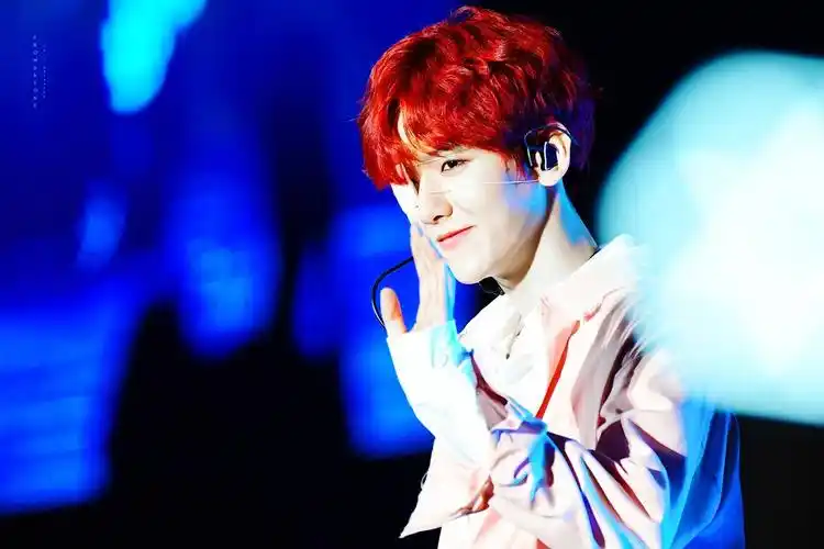 作为爱丽 必须知道边伯贤的50件事