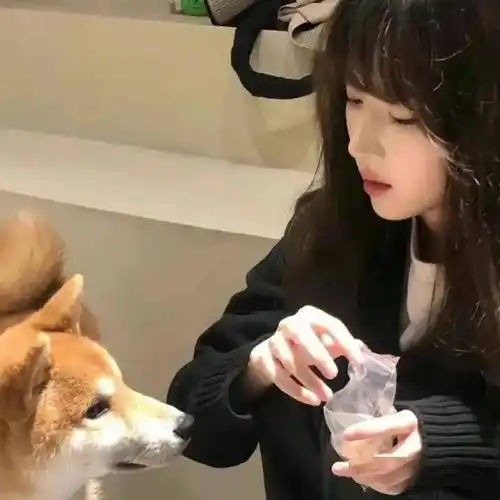 一组很可爱的女生头像