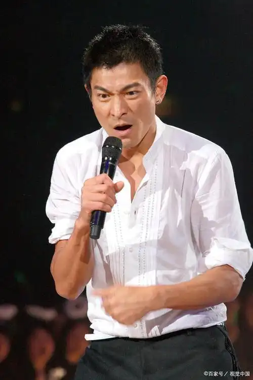 红了一辈子努力上进的刘德华