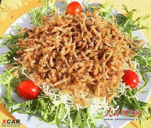 油炸面包虫 .(图)