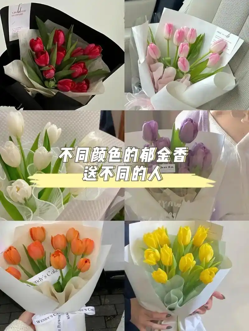 不同颜色的郁金香93送给不同的人.21:39 一闪鲜花关注  - 抖音