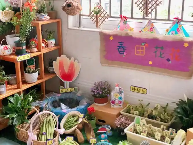 幼儿园自然角环境创设