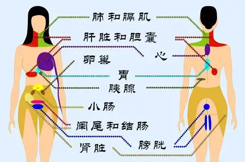 被忽略的9种可引起危险的身体疼痛