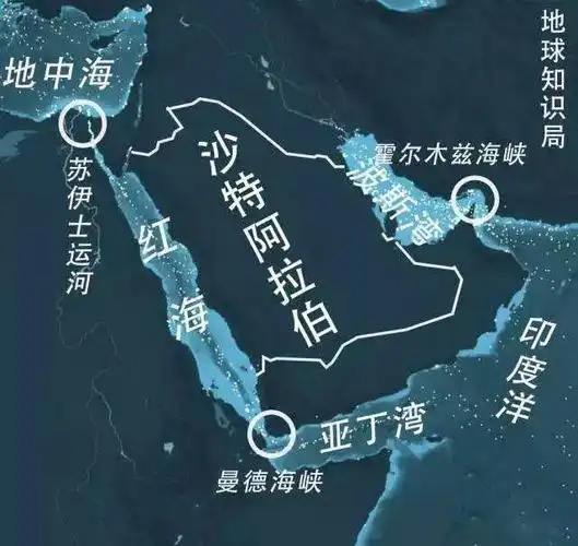 法利赫宣布,因分别装载200万桶原油的两艘沙特巨型油轮在经过曼德海峡