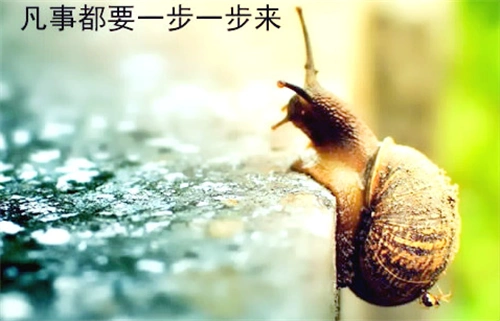 努力向上的励志素材_相信自己超越自己