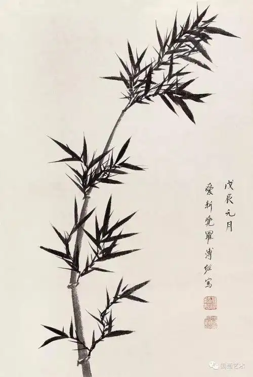 现当代名家 溥佐 画竹作品欣赏|花鸟画家|书画家|绘画_网易订阅