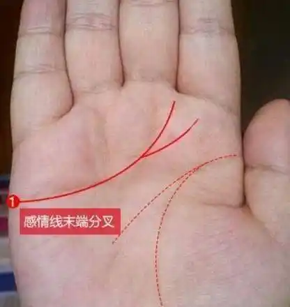 3你感情线末端分叉,奔向食指下方和食指与中指间,表示您的感情坚定