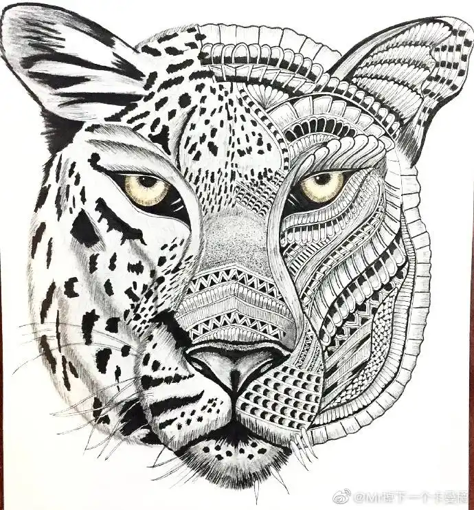 动物黑白装饰画 | zahra goulamhoussen #少儿美术教程参考[超话]