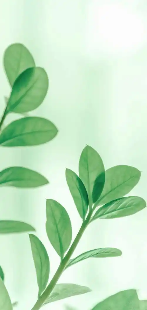 微信护眼聊天背景图片(手机壁纸背景图片) - 赤虎壹号