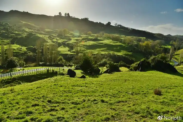 这一带的地貌是起伏的绿色小山坡,其实都是人家的私人农场