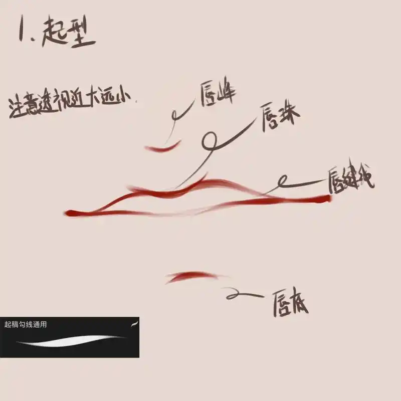 procreate #嘴唇画法 #绘画教程 #画画 16615 - 抖音