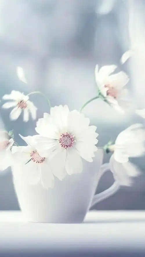 唯美小清新的风景静物图片_唯美图片_我要个性网