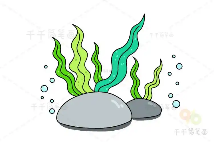 水草简笔画图片