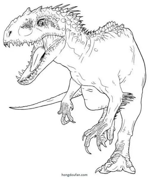 三角龙,伶盗龙,侏罗纪,剑齿虎,剑龙,剑龙简笔画,吼叫,哥斯拉,填色