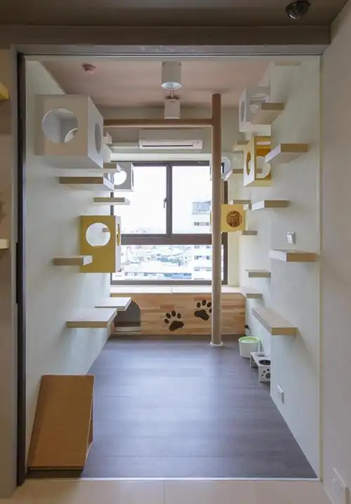 铲屎官必知猫宅贴心改造3要点