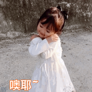 小朋友表情包你个小肥猪349