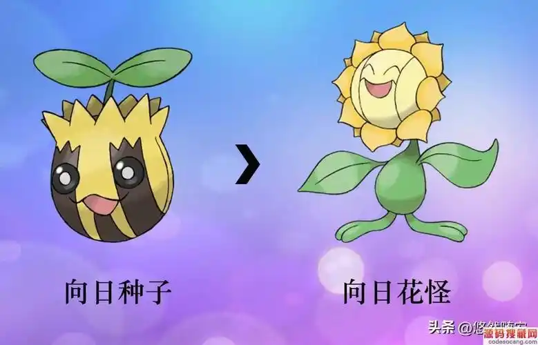 菊草叶进化图_源码搜藏网