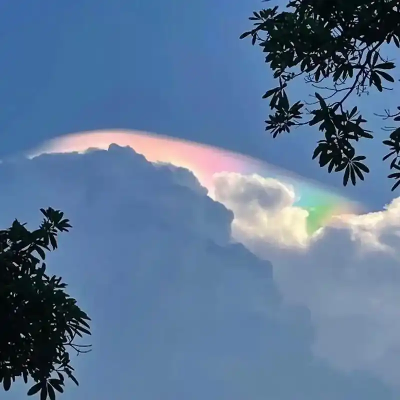 情侣头像#超甜情侣头像 #彩虹96 ##随手拍天空  - 抖音