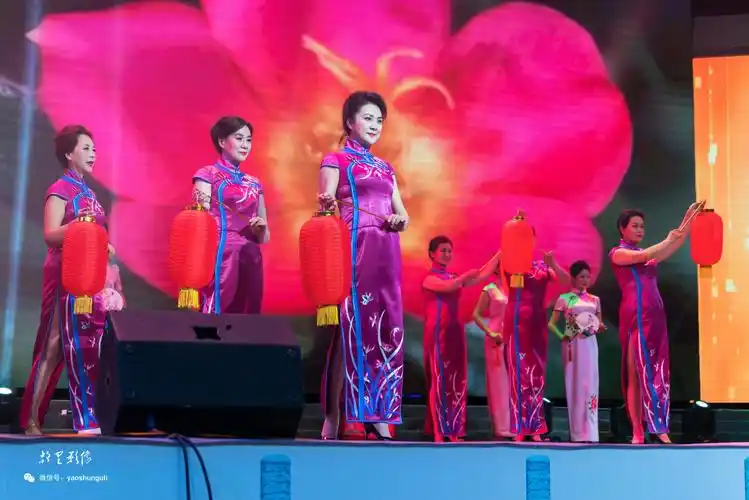 2017中国旗袍春晚魅力绽放精彩瞬间(一)