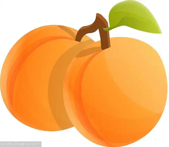 两个全杏图标卡通风格