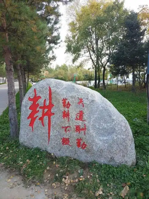 学校校园石文化为祖国献礼