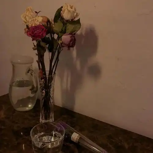 微信背景图朋友圈背景图聊天背景图手机壁纸iphone无水印